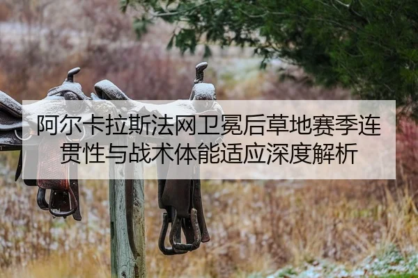 a-er-ka-la-si-fa-wang-wei-mian-hou-cao-di-sai-ji-lian-guan-xing-yu-zhan-shu-ti-neng-shi-ying-shen-du-jie-xi-1-197.jpg