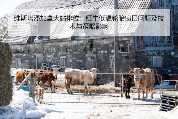 维斯塔潘加拿大站排位：红牛低温轮胎窗口问题及技术与策略影响