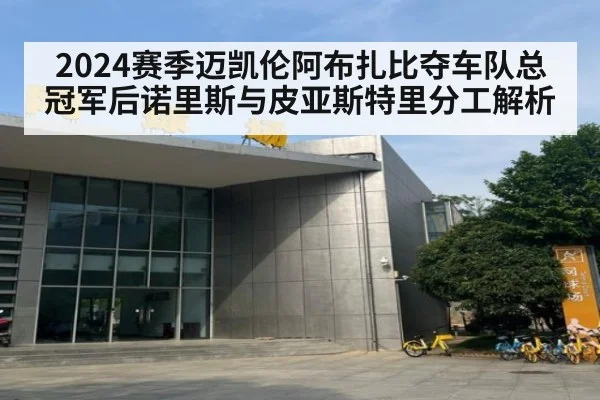 2024赛季迈凯伦阿布扎比夺车队总冠军后诺里斯与皮亚斯特里分工解析